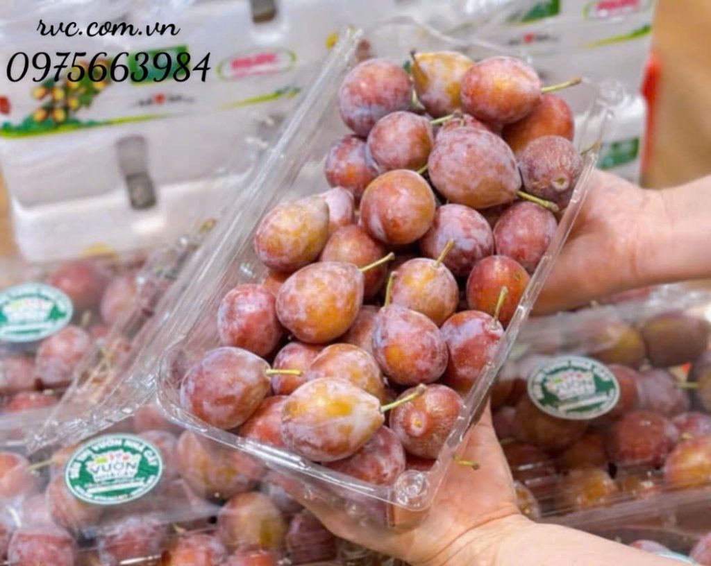 Hộp đựng hoa quả 1kg